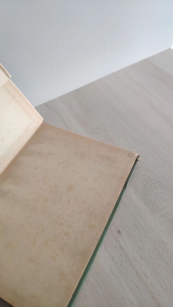 Livre petite histoire de l'art et des artistes peintres peinture Hillyer Huey Huisman - photo numéro 6