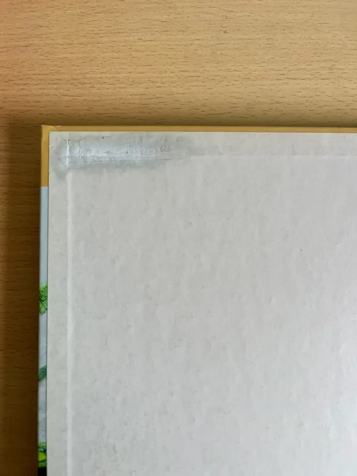 Livre - photo numéro 3