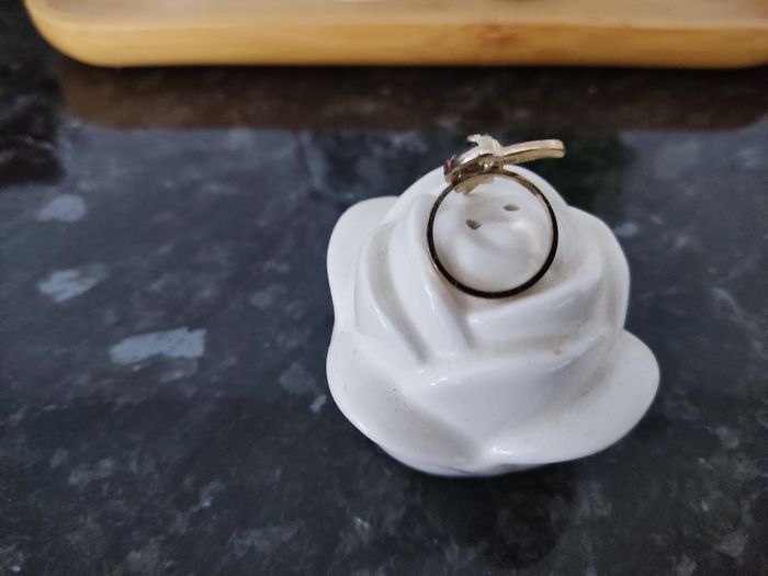 Bague toucan - photo numéro 3