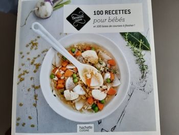 Livre 100 recettes pour bébés