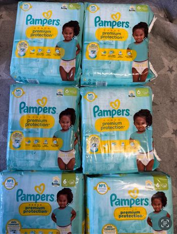 Six pack de couches Pampers taille 6 preuim