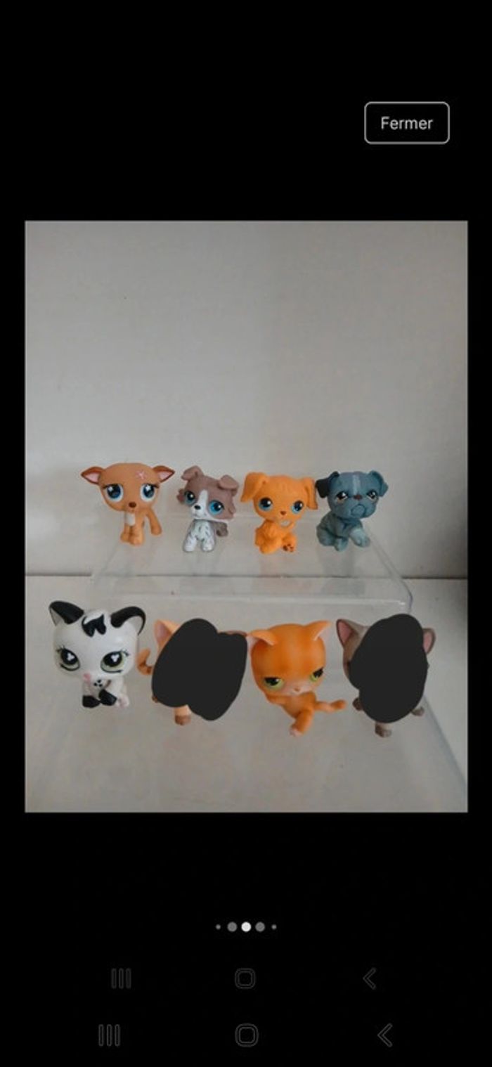 Littest petshop - photo numéro 6