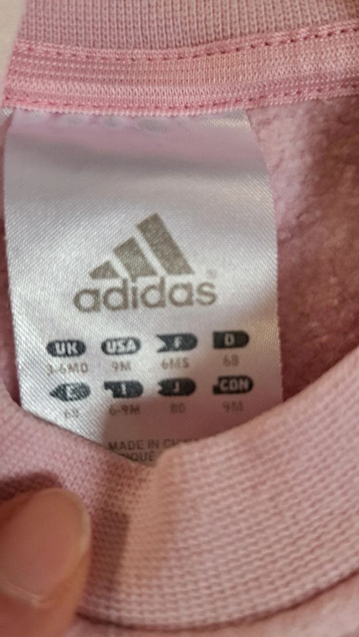 Ensemble jogging - photo numéro 2