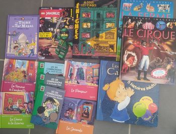 Lot de livres pour enfants neufs