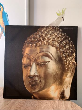 Toile bouddha