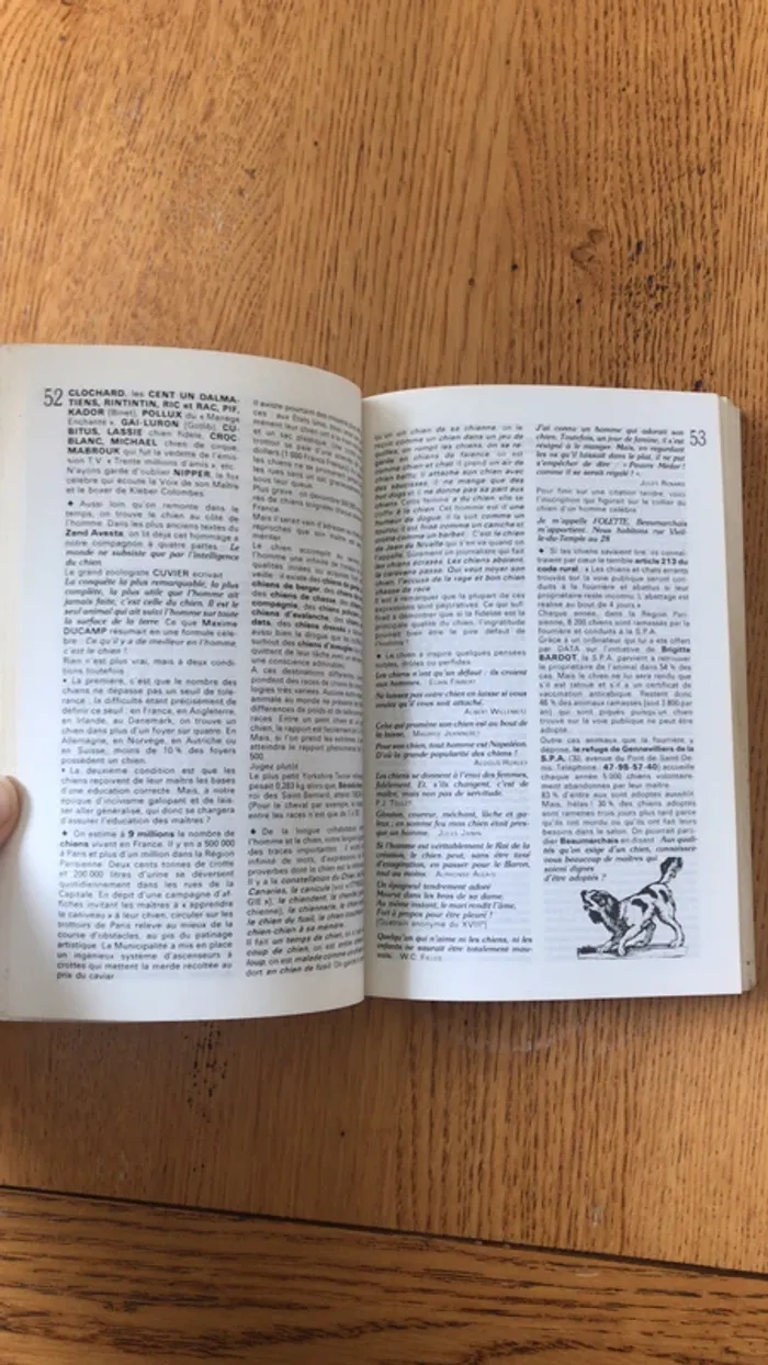 petit dictionnaire de l’insolite et du sourire - photo numéro 4