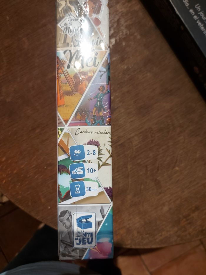 Le jeu au creux de ta main : La vie de Mei - photo numéro 3