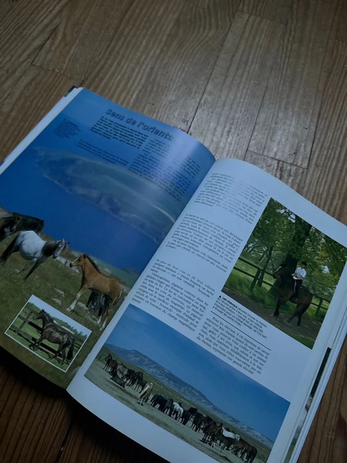 Livre l’Atlas du cheval et du cavalier - photo numéro 4