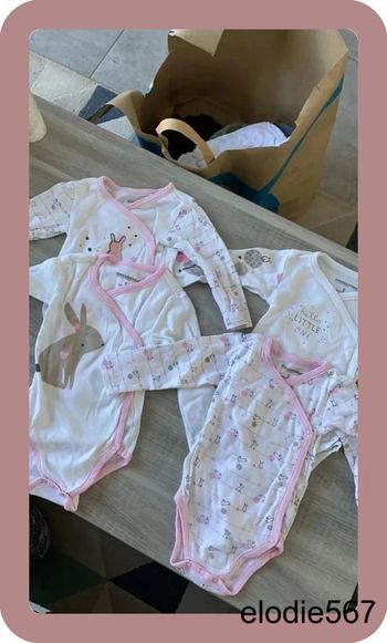 Lot de 4 body orchestra lapin