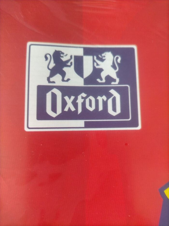Lot feuilles simples perforées Oxford - photo numéro 3