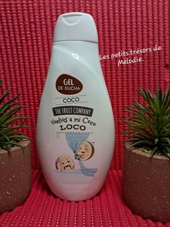 Gel douche The Fruit Campany la Noix de Coco