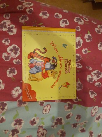 Winnie l ourson  mon album souvenirs