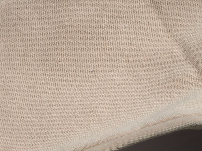 Jogging Pluto - photo numéro 4