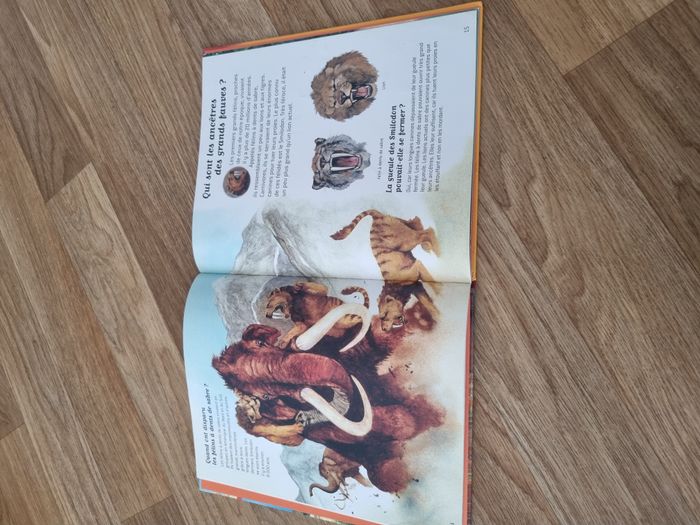 Les grands fauves - photo numéro 2