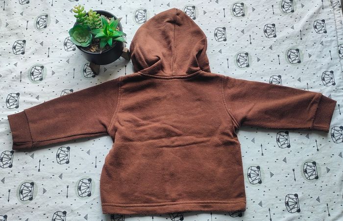 Veste à capuche taille 12 mois/ 1 ans - photo numéro 3