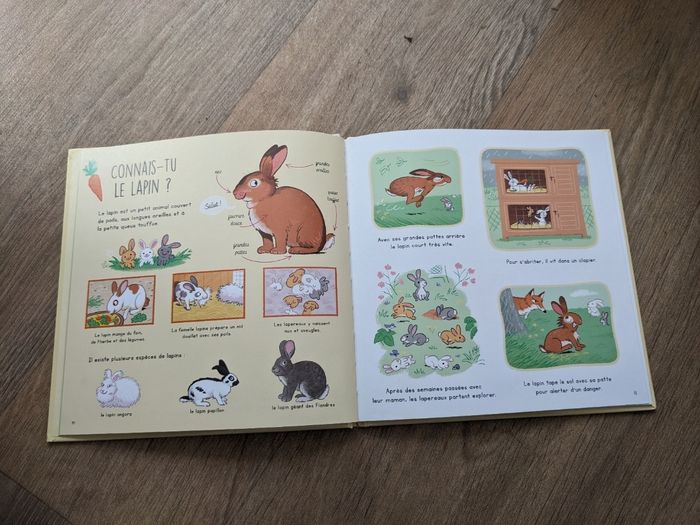 Livre connais tu les animaux de la ferme? - photo numéro 3