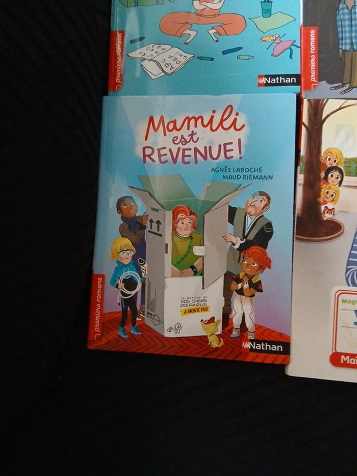 Livres apprentissage lecture - photo numéro 11