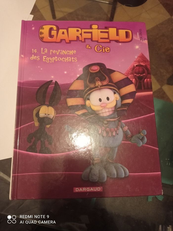 Bd Garfield