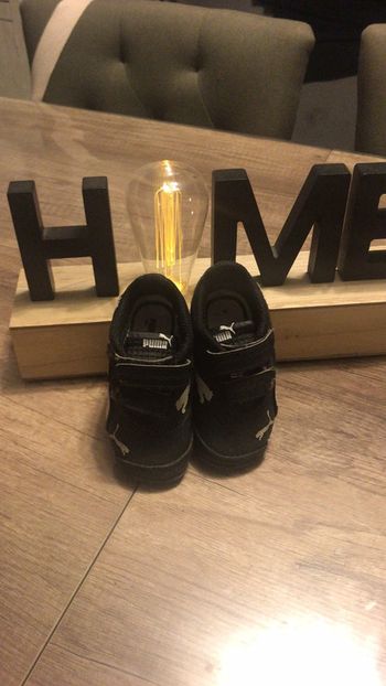 Basket puma