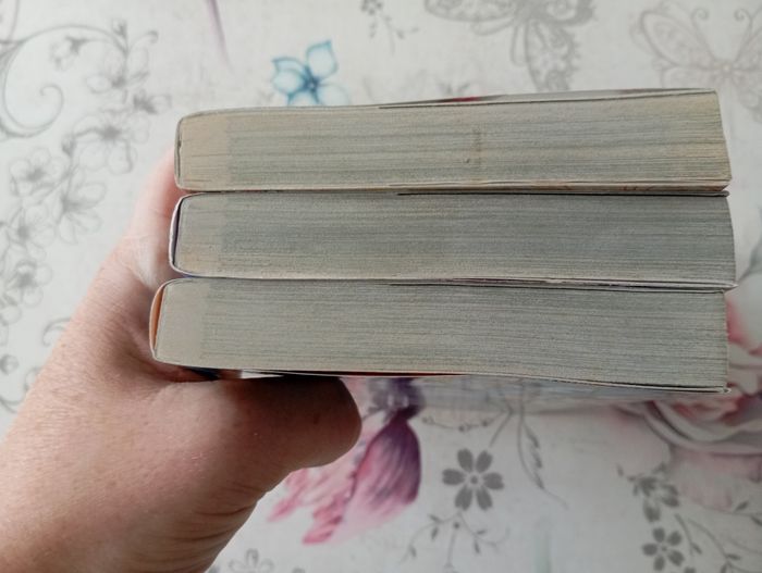 Lot de 3 mangas demon slayer - photo numéro 6