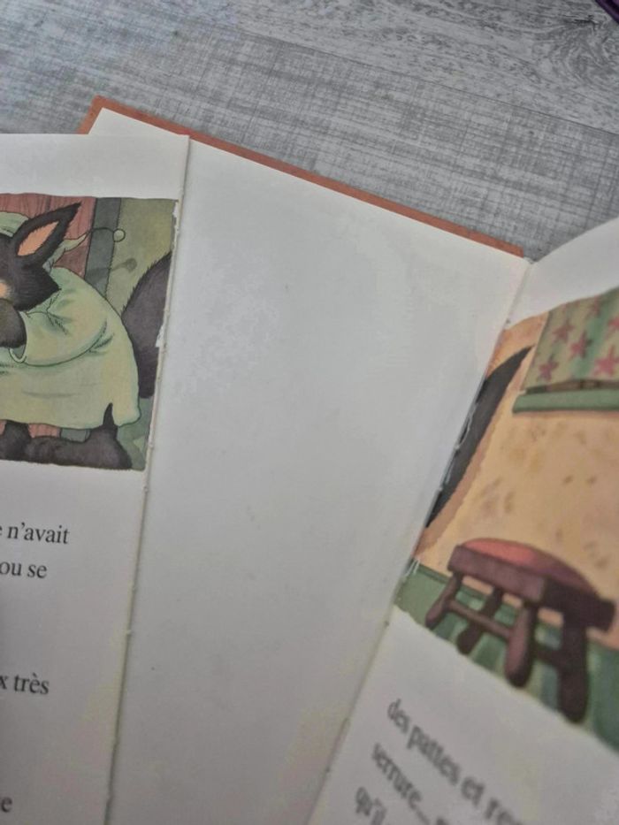 Livre - photo numéro 4