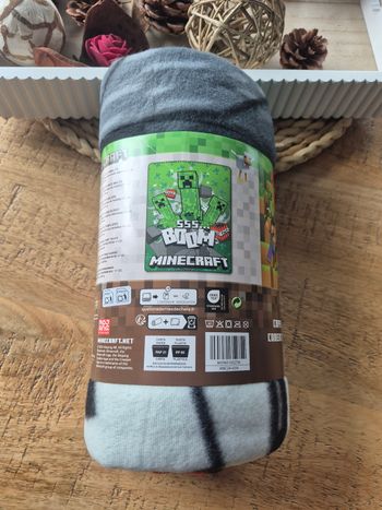 Plaid Polaire Minecraft