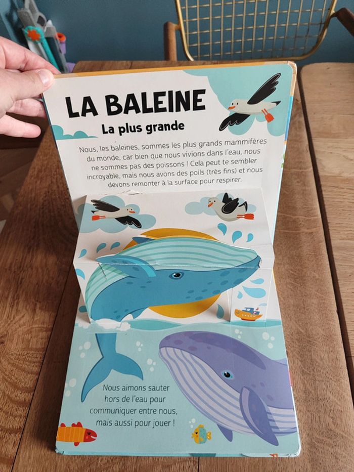 Animaux de la mer - photo numéro 5