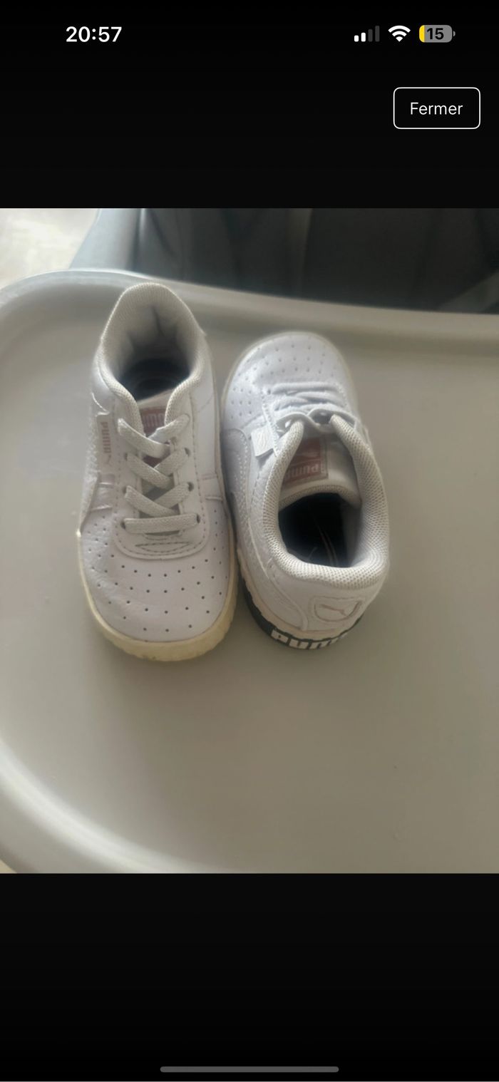 Basket puma