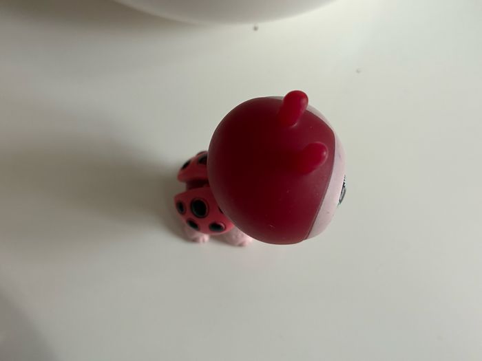PetShop coccinelle - photo numéro 5