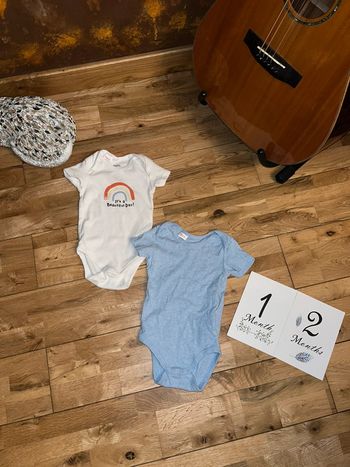 Lot de 2 bodys mixtes lupilu très bon état 74-80cm/12mois