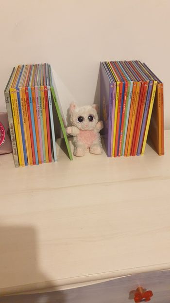 Lot 34 livres Disney 