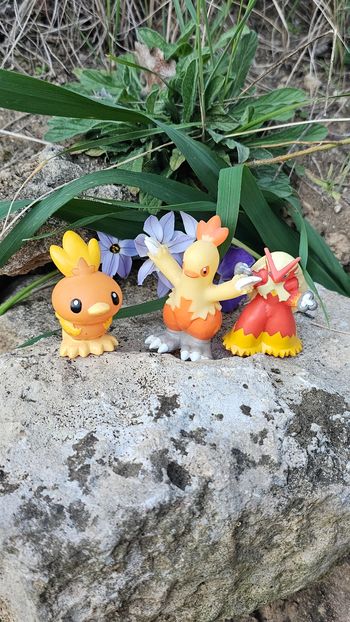 Super figurine Pokemon Nintendo finger puppet évolution Poussifeu galifeu Brasegali