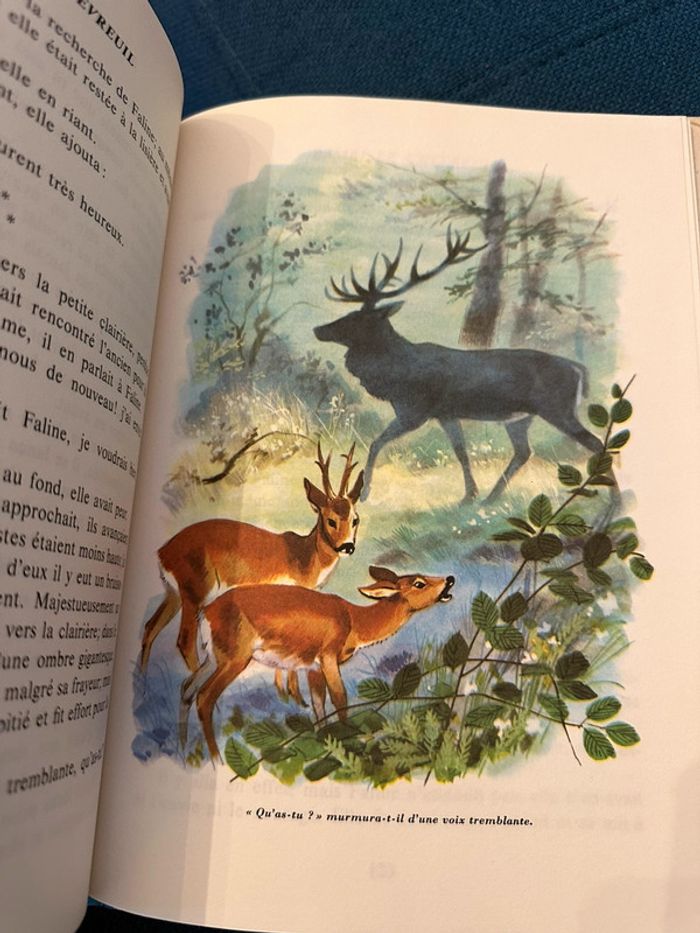 1979 Livre ancien Bambi le Chevreuil Félix Salten Pierre Probst La Galaxie - photo numéro 6