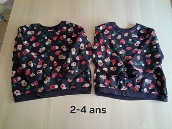 Gros pullPull
De chez lupilu 
2-4 ans 
Aucun défaut
