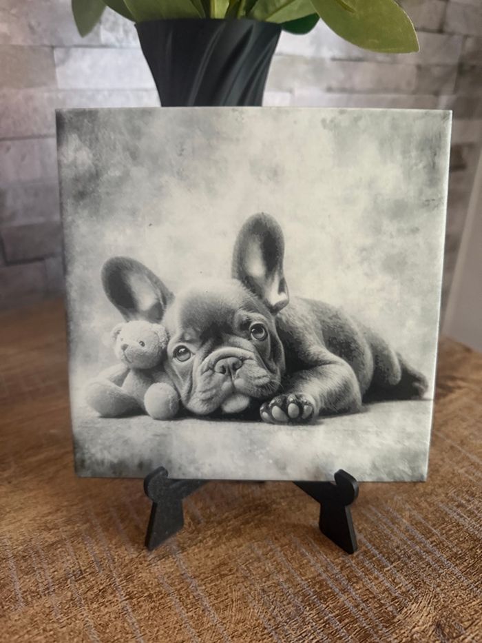 Carrelage Bouledogue