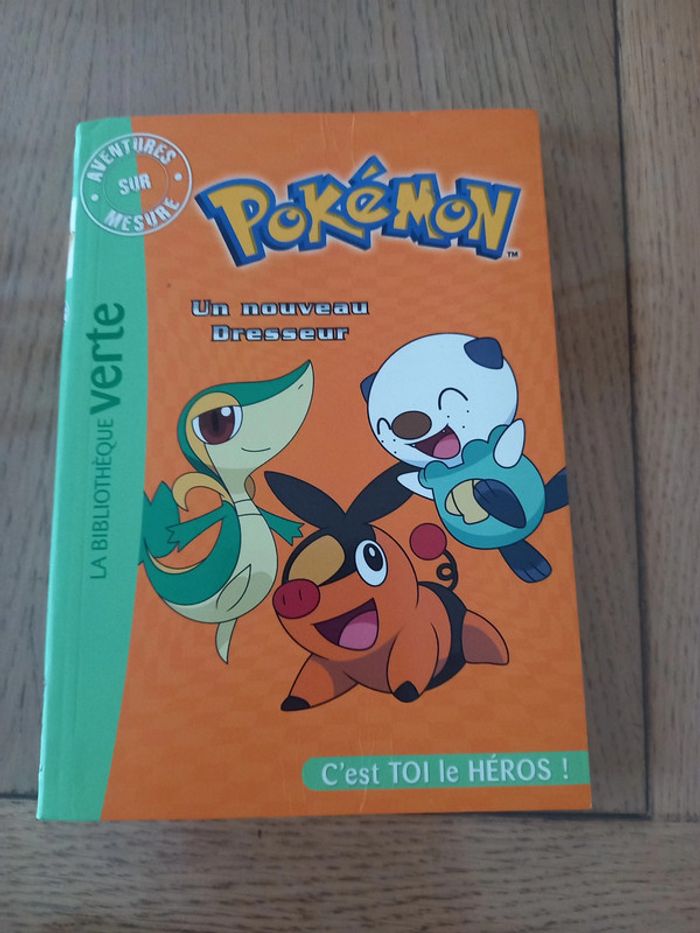 Pokemon un nouveau dresseur