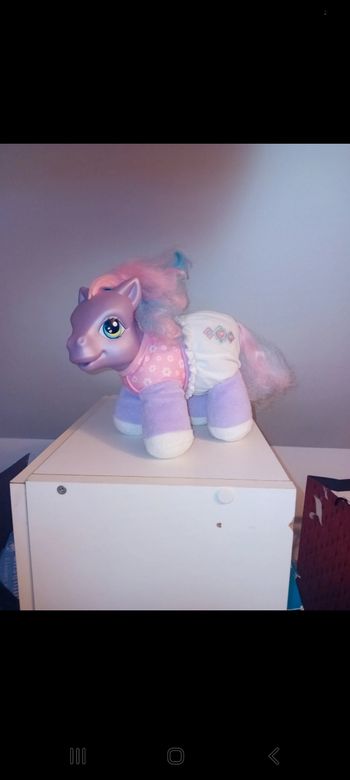 Poney