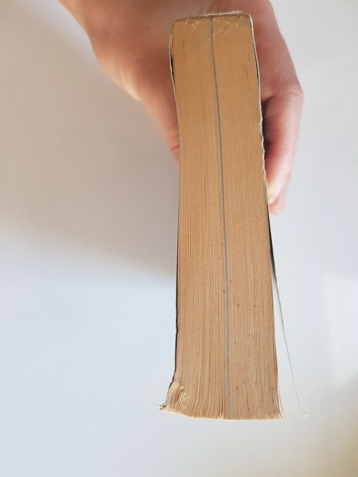 Philip Pullman (Écrivain) À la croisée des mondes, Tome 1 : Les Royaumes du Nord - photo numéro 10