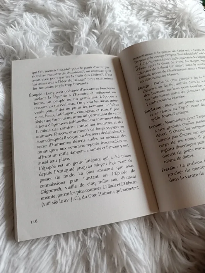 Livre L'épopée de Gilgamesh en 8 récits _ dès 11 ans _ Flammarion Jeunesse _ Jean Muzi - photo numéro 8