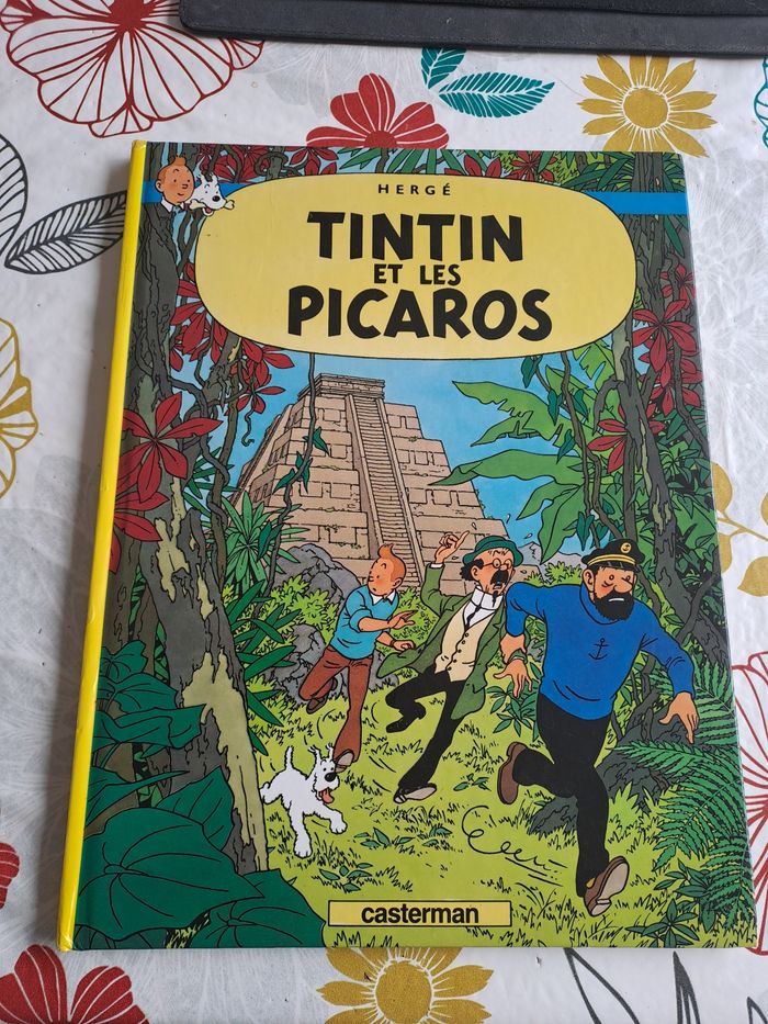 Tintin et les picaros