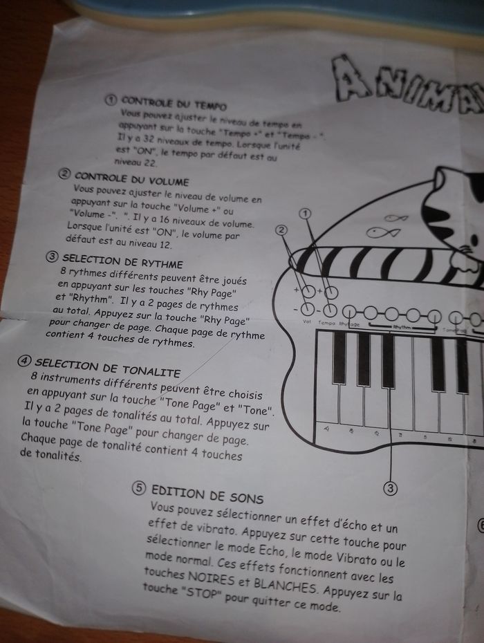 Piano musical chat
Animal - photo numéro 2