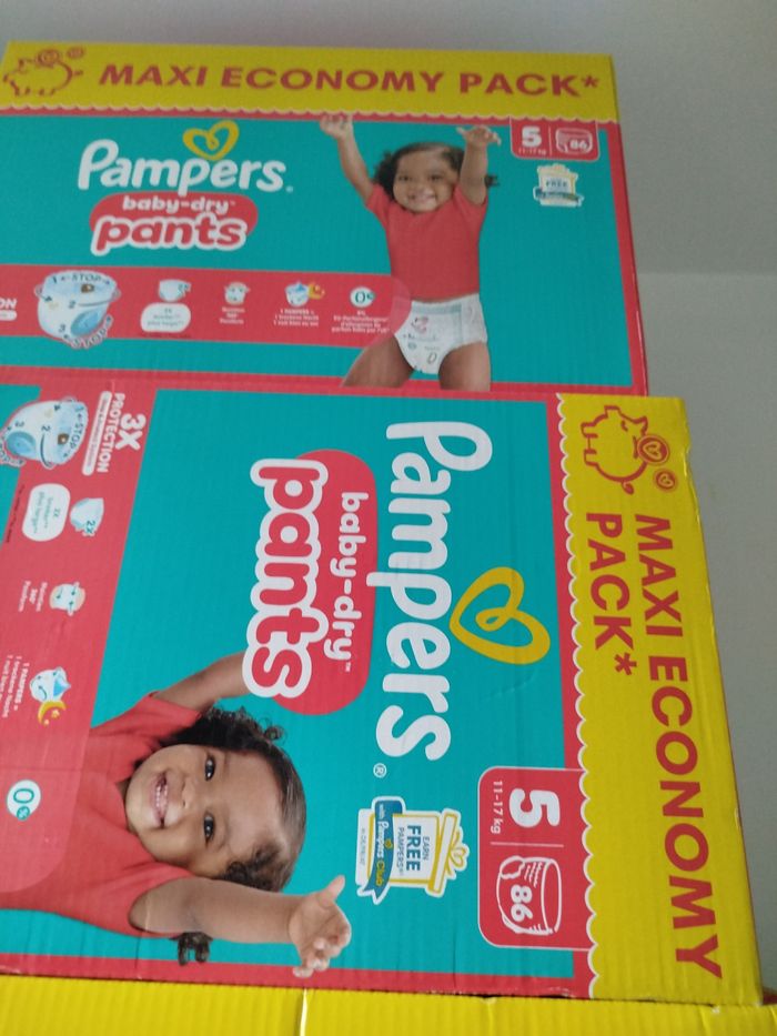 258 couches t5 pants