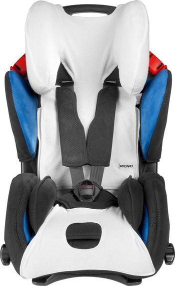 Housse éponge Young Sport