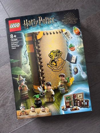Lego Harry Potter 76384