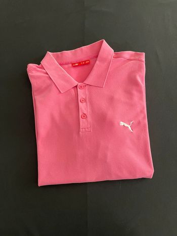 Polo Puma