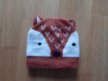 Bonnet renard