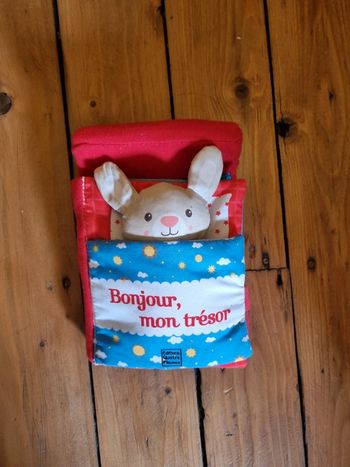 Livre avec doudou / peluche bonjour mon trésor