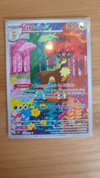 Haydaim 166/162 EV05 Forces temporelles carte pokémon
