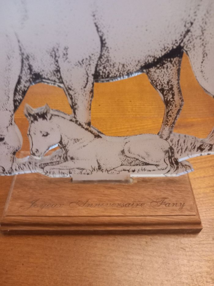 Décoration chevaux - photo numéro 2