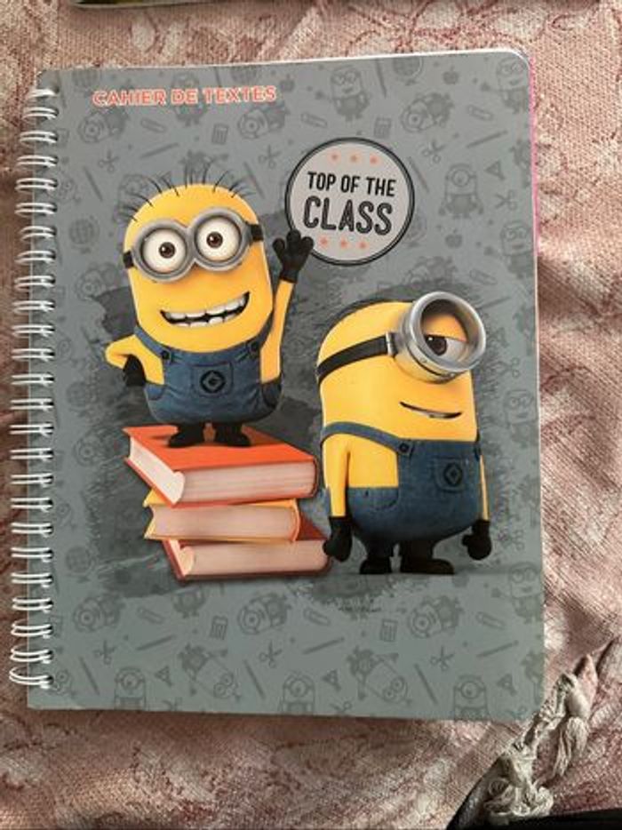 Cahier de texte lapins crétins - photo numéro 2